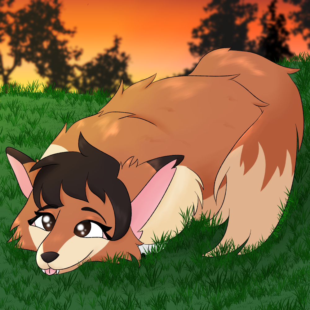 Bloom, a red fox with cream and brown markings and hair, posed "cat loaf" style in a grassy field at sunset. They stick out their tongue to the camera with a cute, innocent expression.